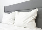 Pillowtex Hotel Feder- und Down-Pillow-Set (enthält 2 Kissen)