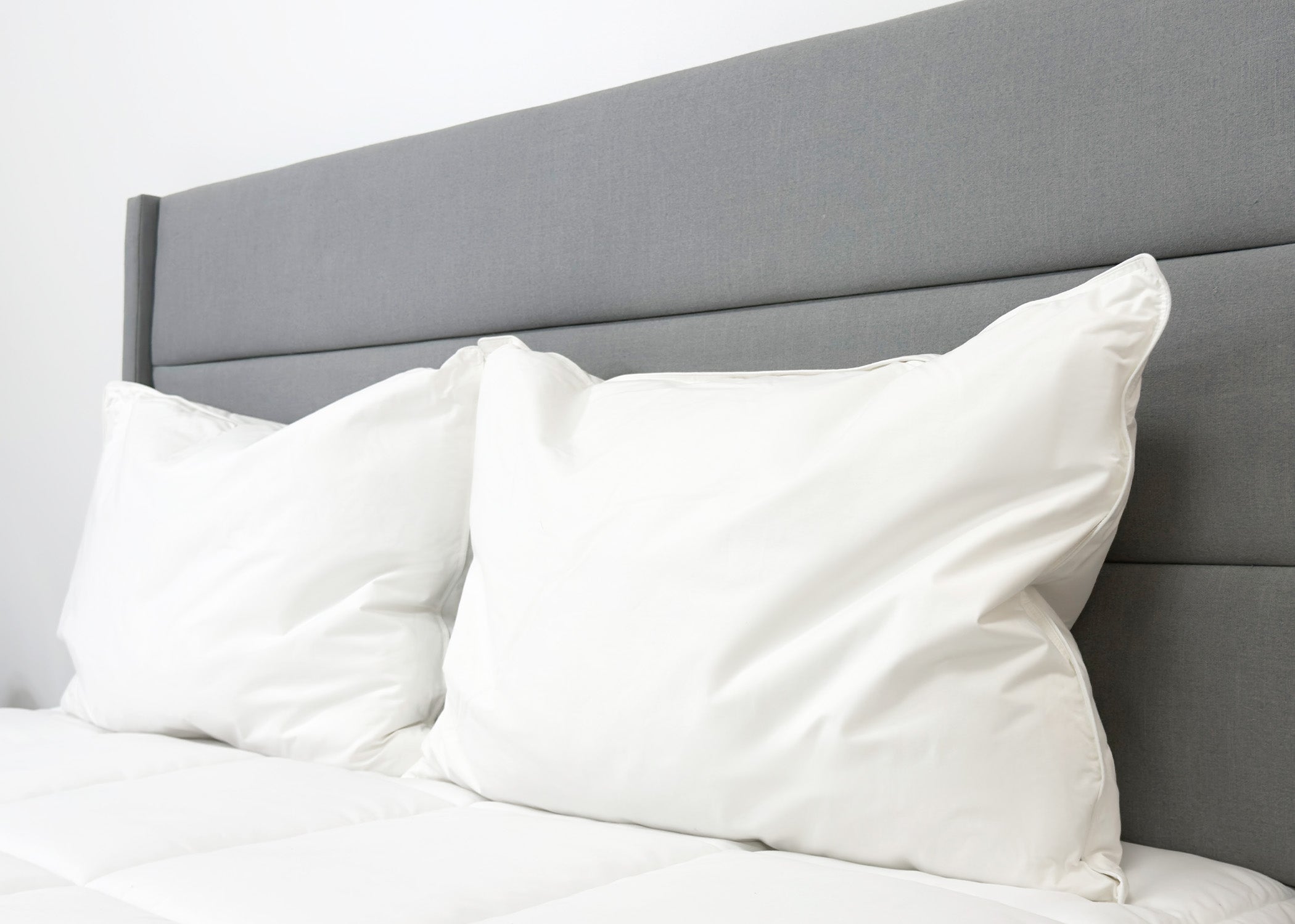 Pillowtex Hotel Feder- und Down-Pillow-Set (enthält 2 Kissen)