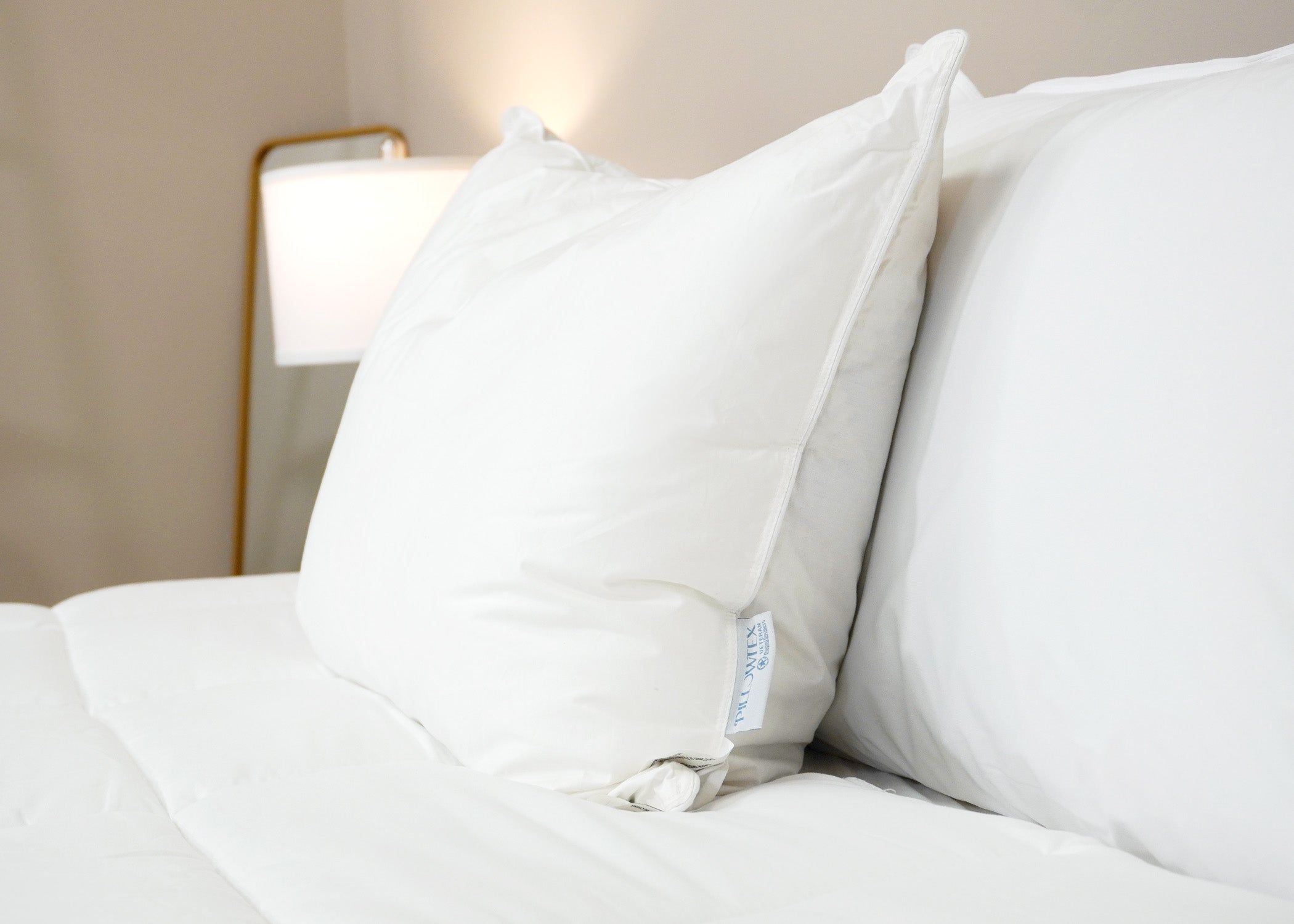 Pillowtex Kyoto Pillow - Half Buckwheat Half Polyester Pillow - Japanischer Stil Pillow