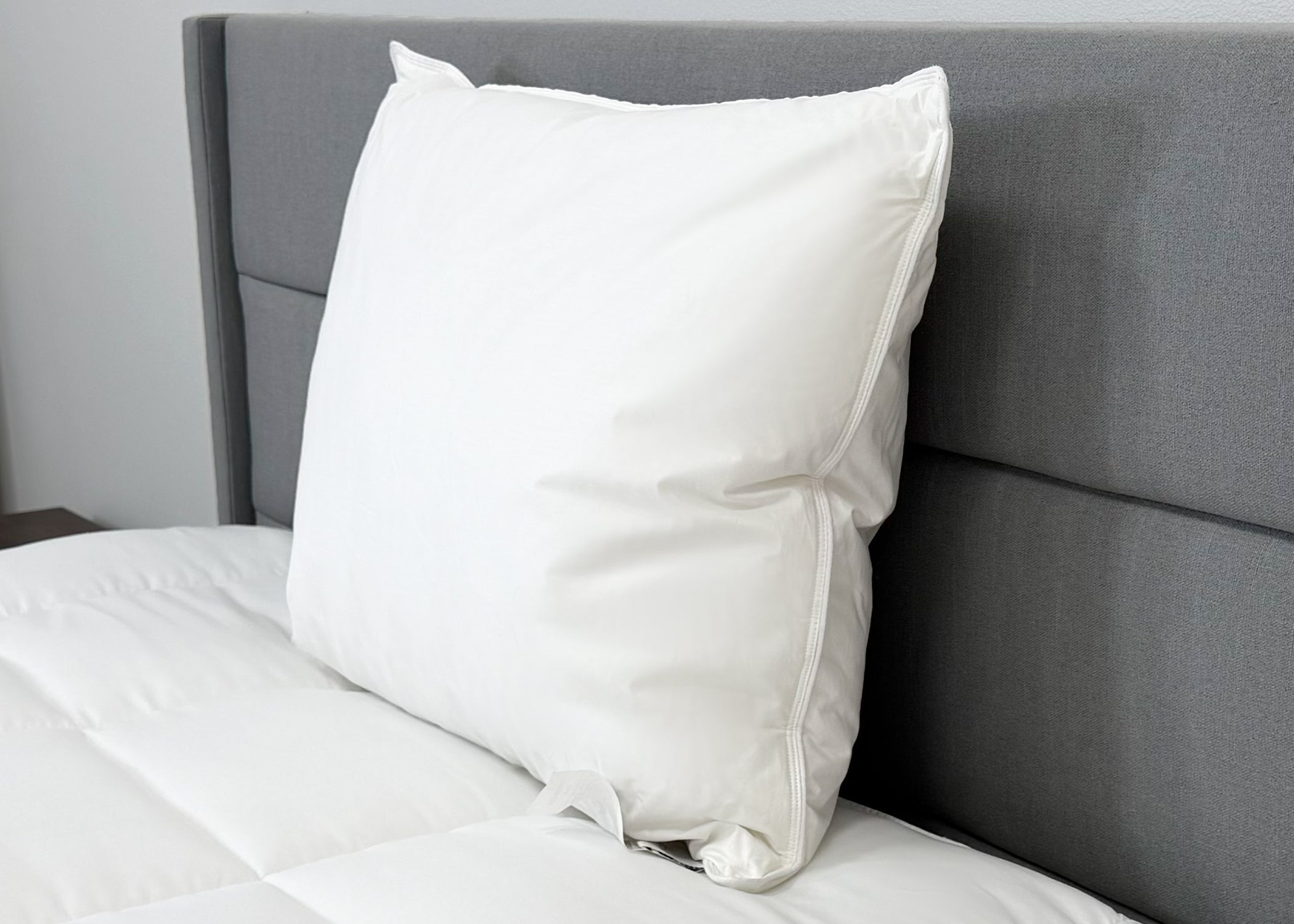 Down Etc. Fairfax Firm Polyester Pillow