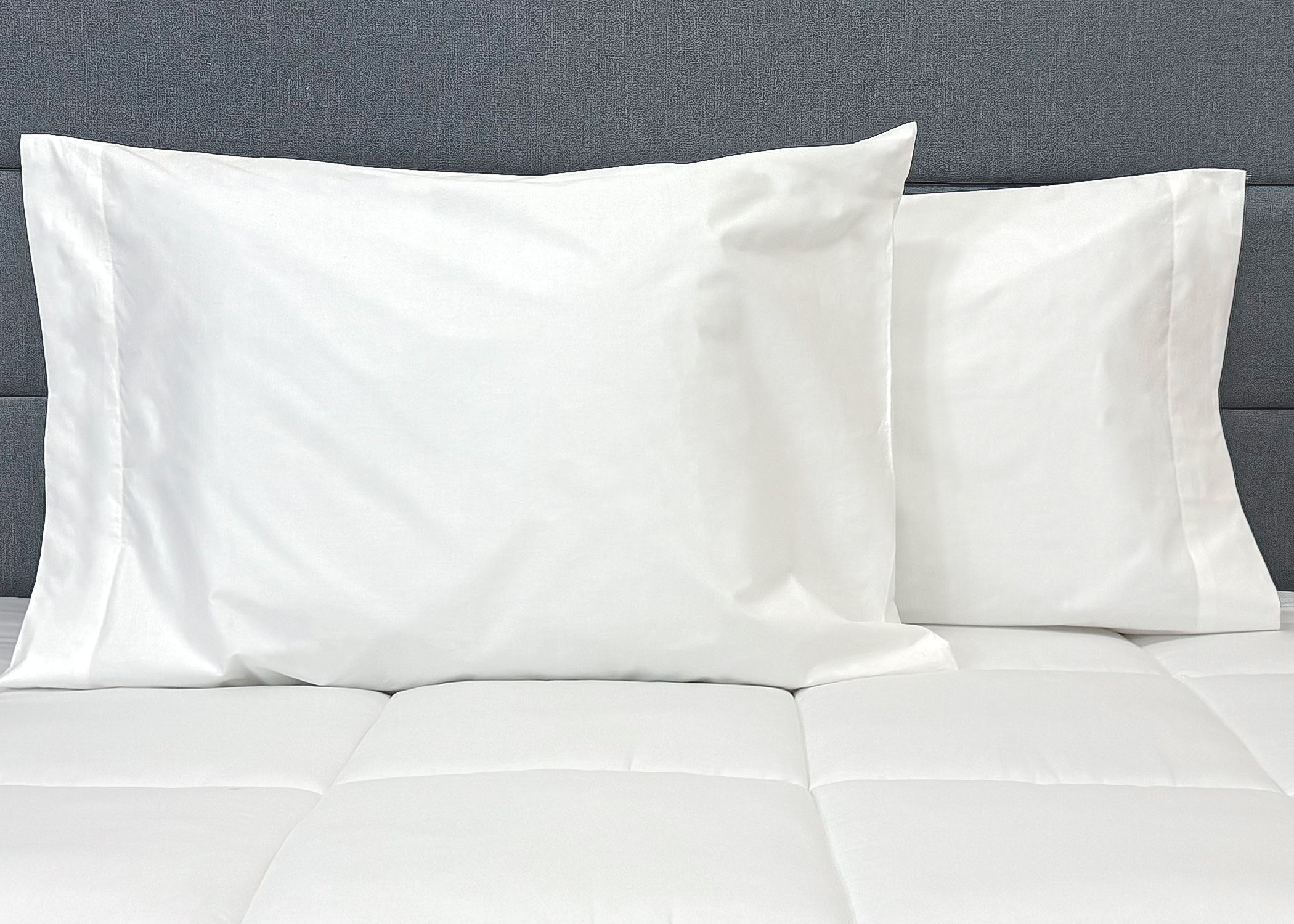 Pillowtex Cotton Kissenbezug Set (enthält 2 Pillowcases)