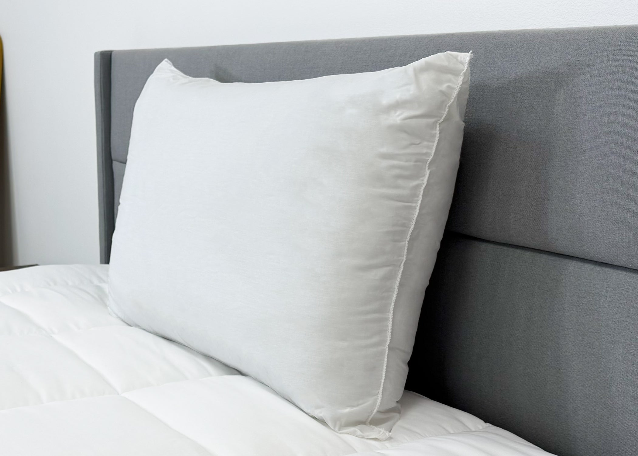 Envirosleep Gold Plus Kissen | Feste Polyesterfaserfüllung