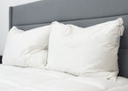 Pillowtex Triple Core Weiße Entendaunen & Feder Kissen | Mittelschwere Unterstützung