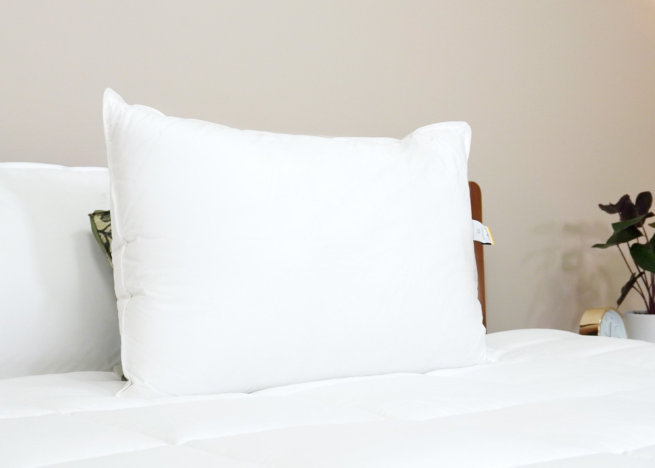 Dream Escape Down Alternative Pillow Früher Dream Essence