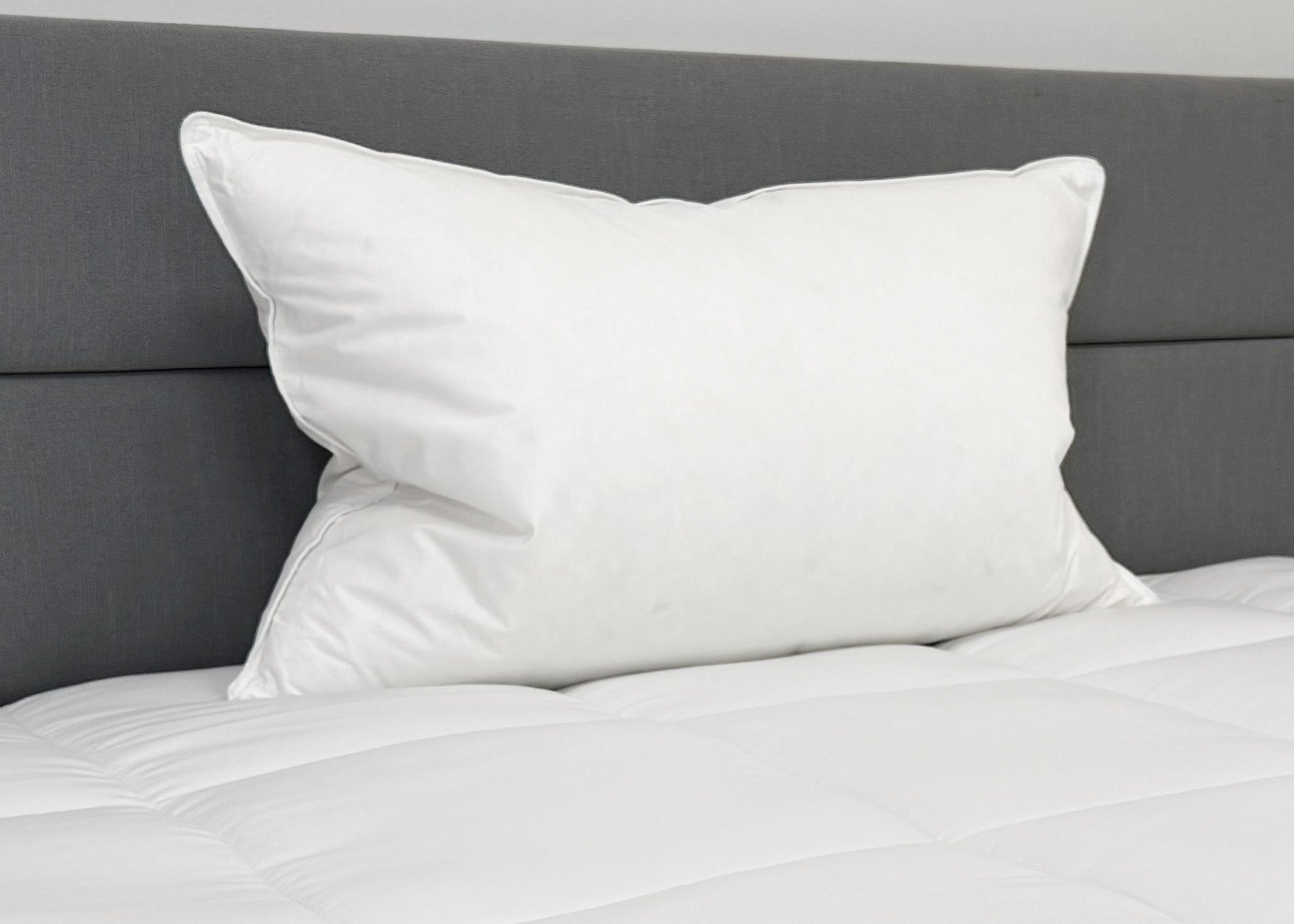 Down Etc. 50% Weiß Goose Down / 50% Weiß Goose Federn Pillow