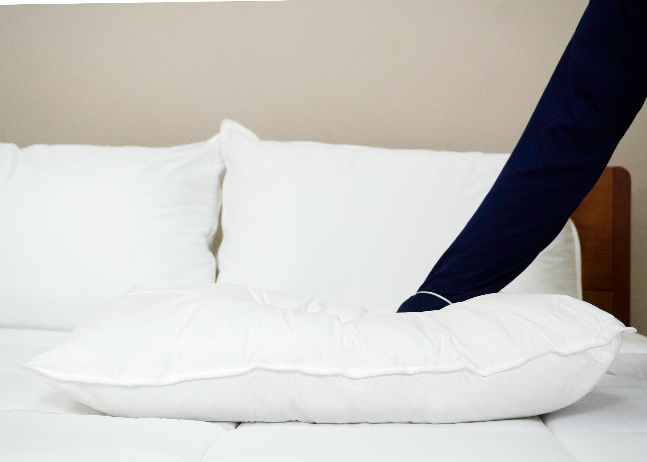 Pillowtex Premium Polyester Pillow | Extra Firm