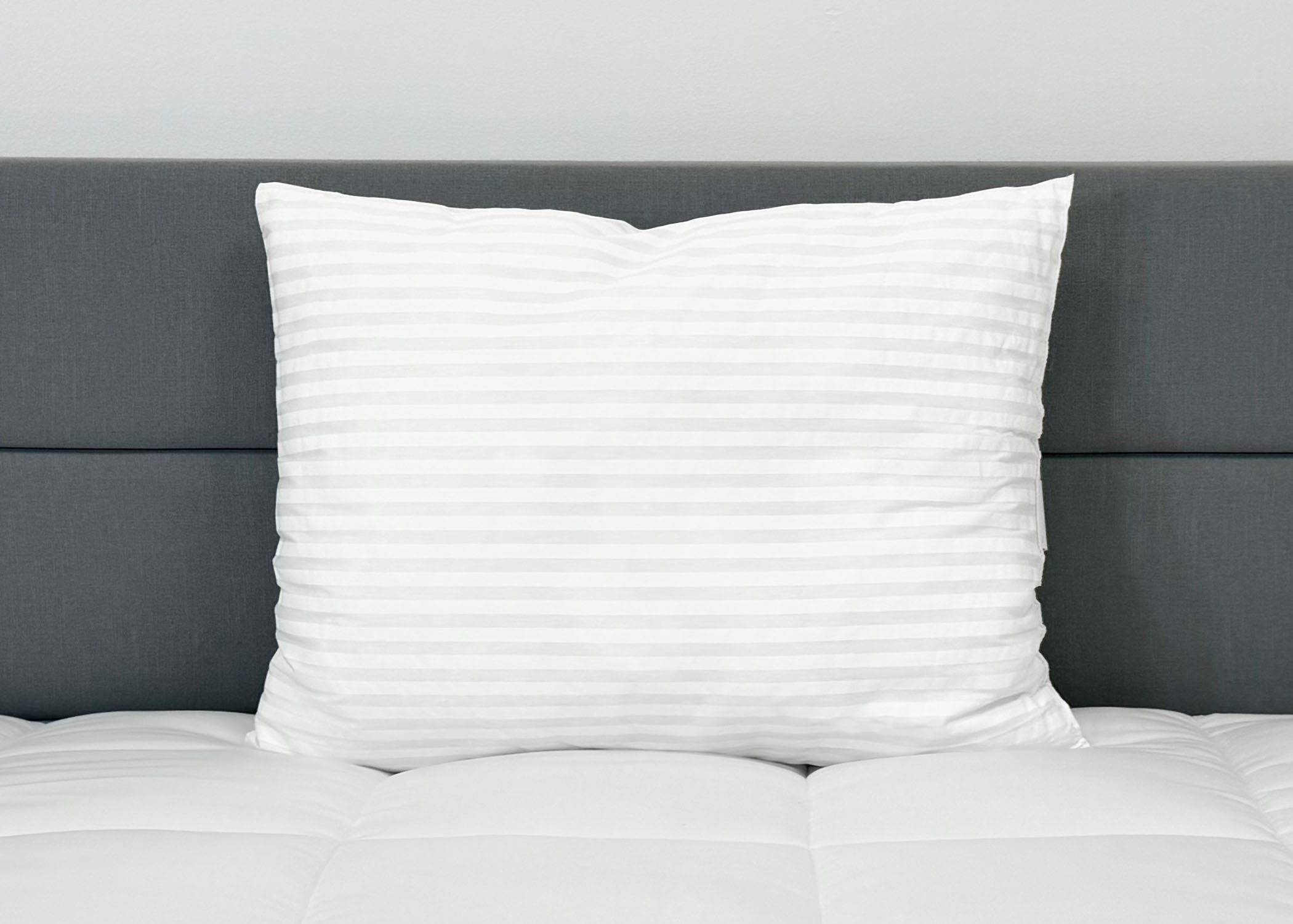 Pillow Factory Comforel Pillow, ausgestellt in Sheraton Hotels