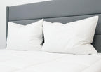 Pillowtex Conformity Pillow | Soft Support