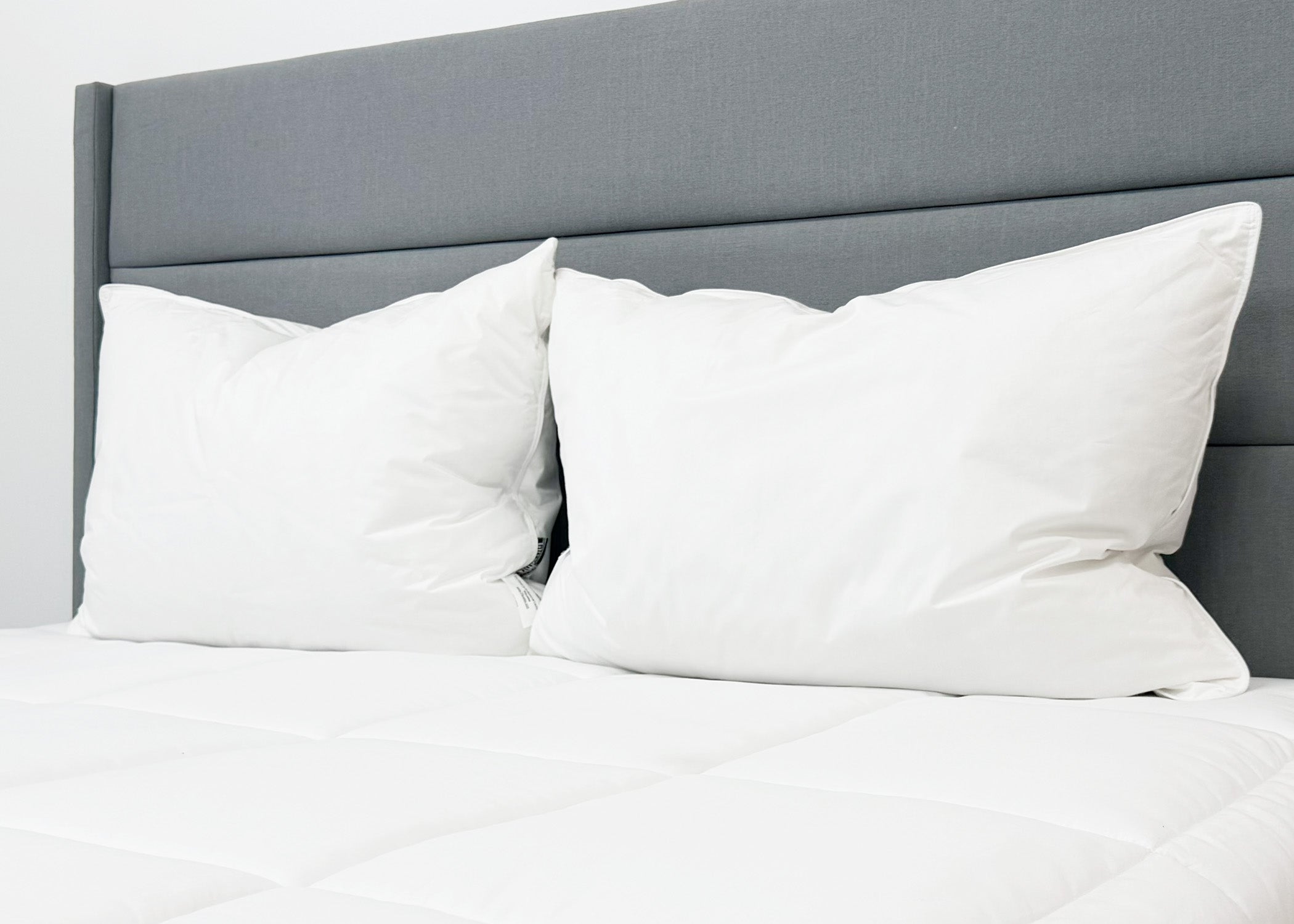Pillowtex Conformity Pillow | Soft Support