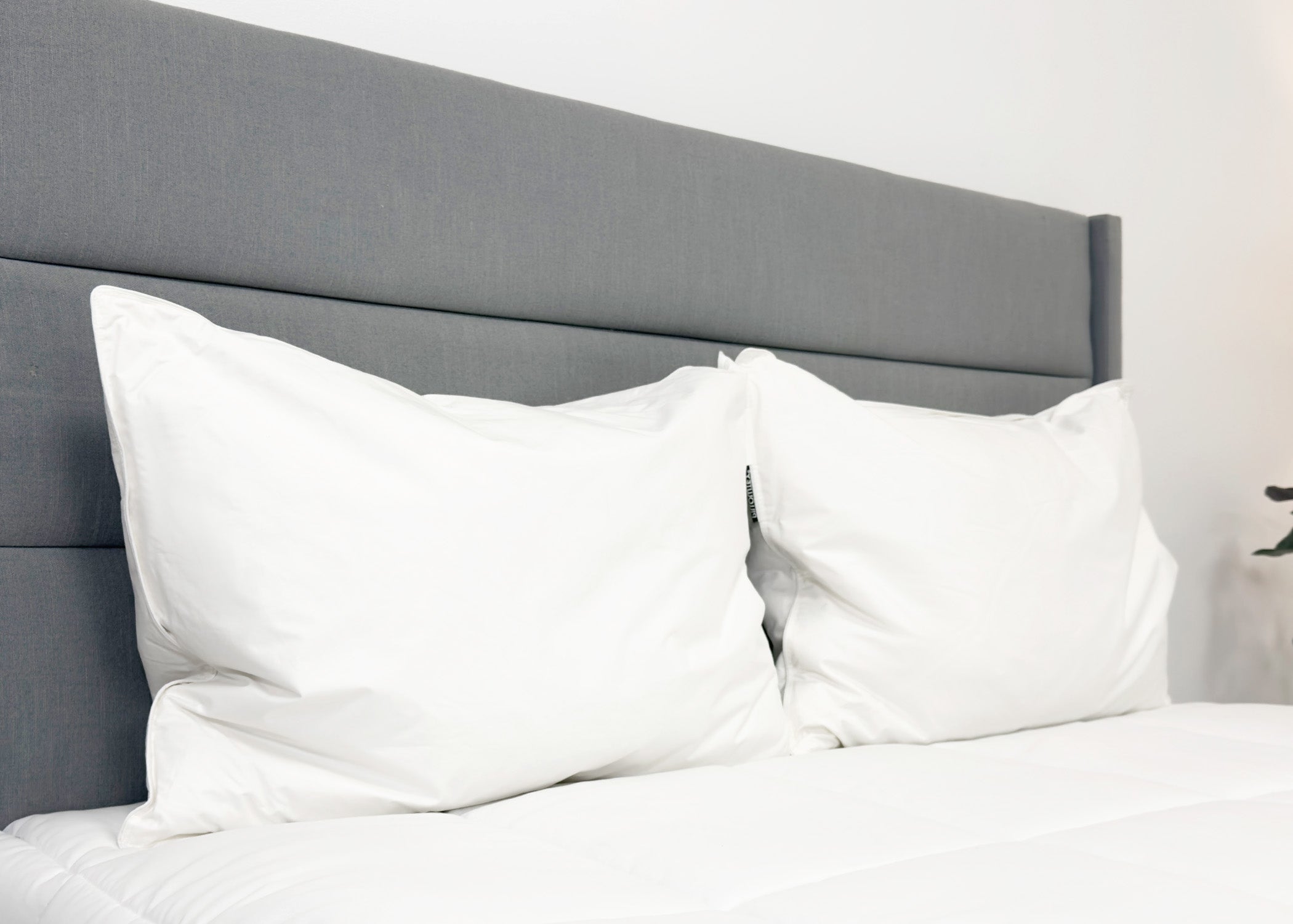 Pillowtex Hotel Feder- und Down-Pillow-Set (enthält 2 Kissen)