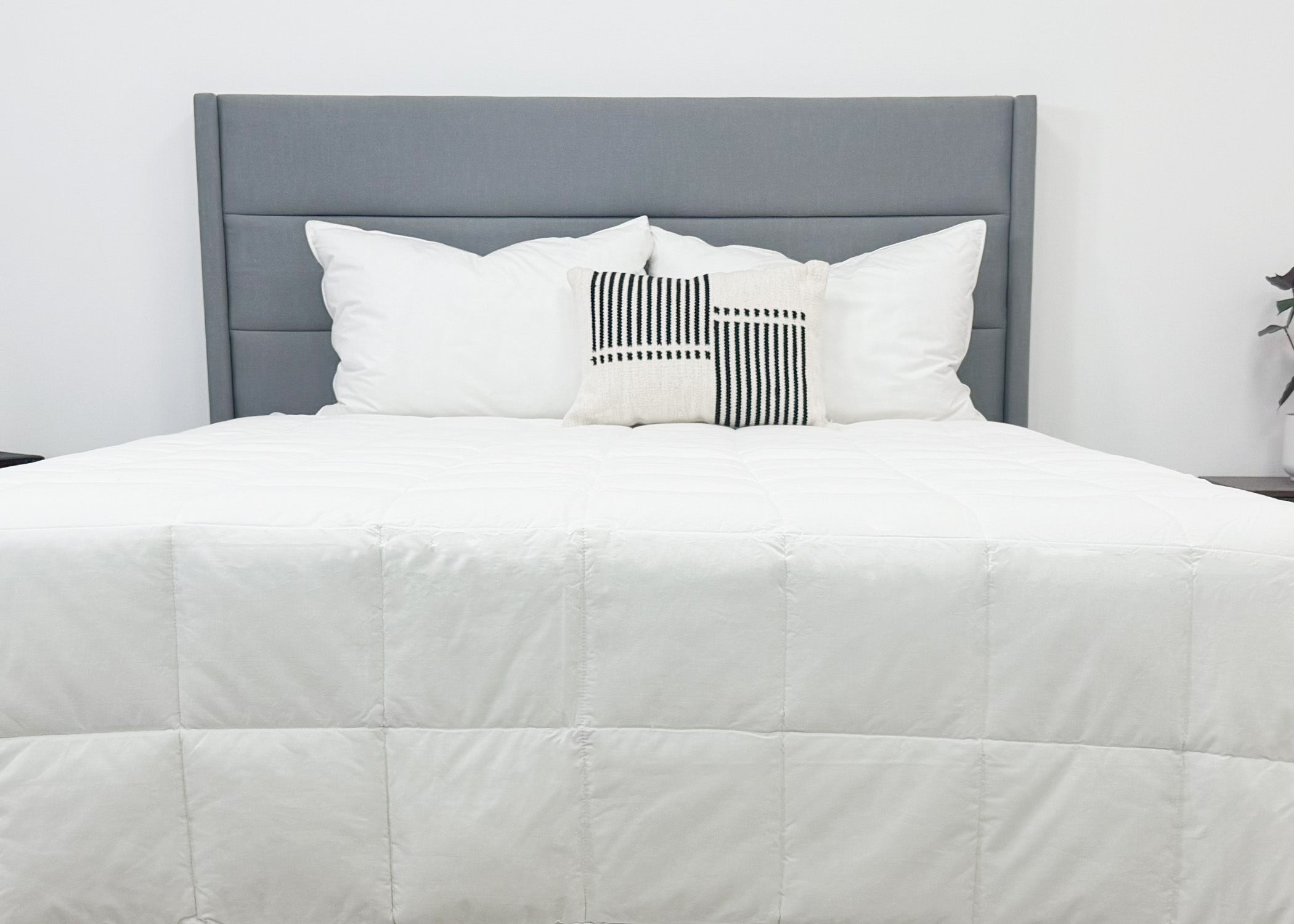 Pillowtex Hotel Blanket | Soft Fabric & Silky Smooth Füllung