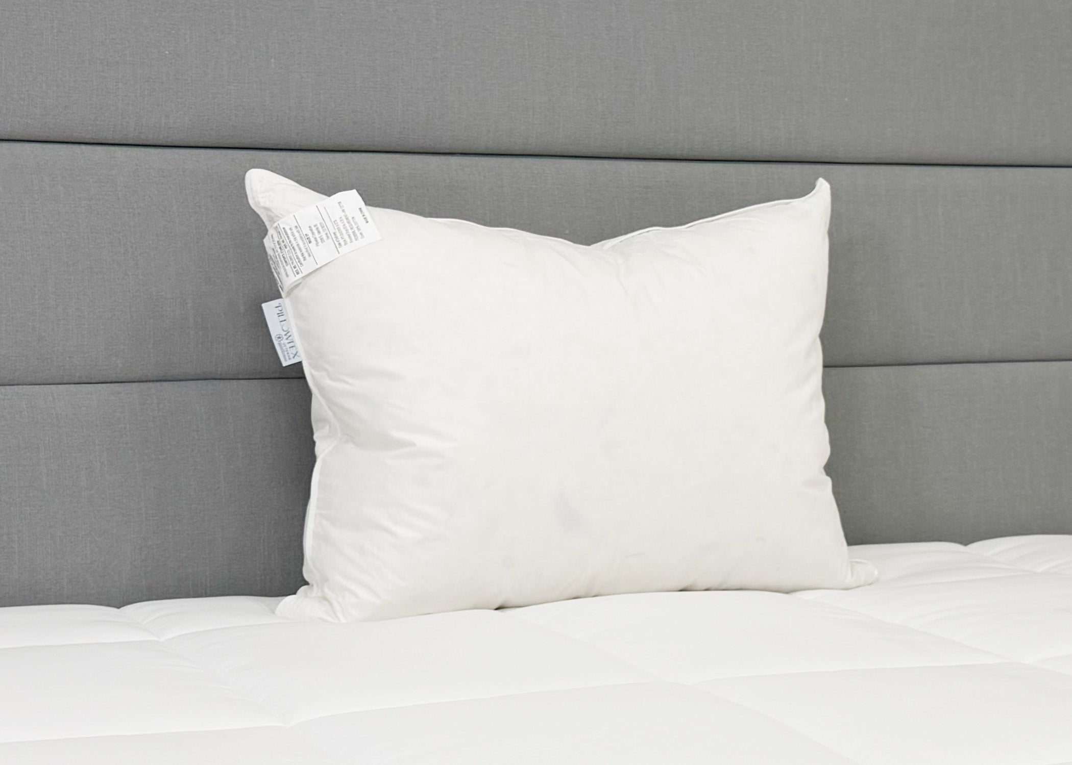 Pillowtex Weiße Entendaunen & Feder Kissen | 95% Federn / 5% Down