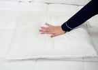 Pillowtex Premium Polyester Pillow | Extra Firm