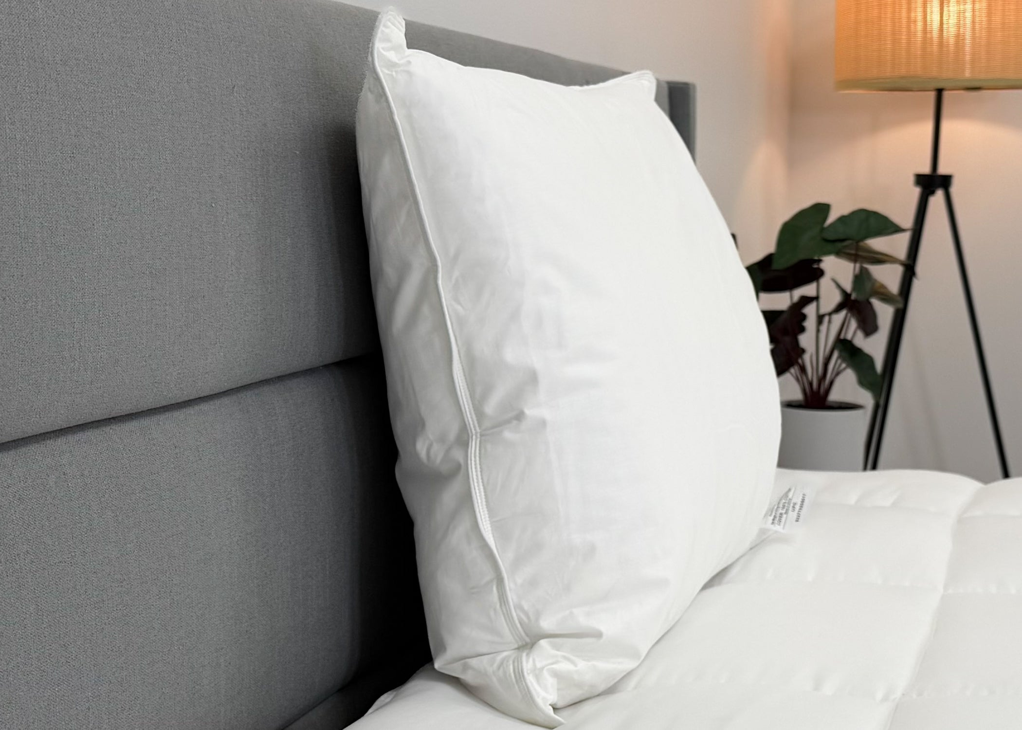 Down Etc. Fairfax Firm Polyester Pillow