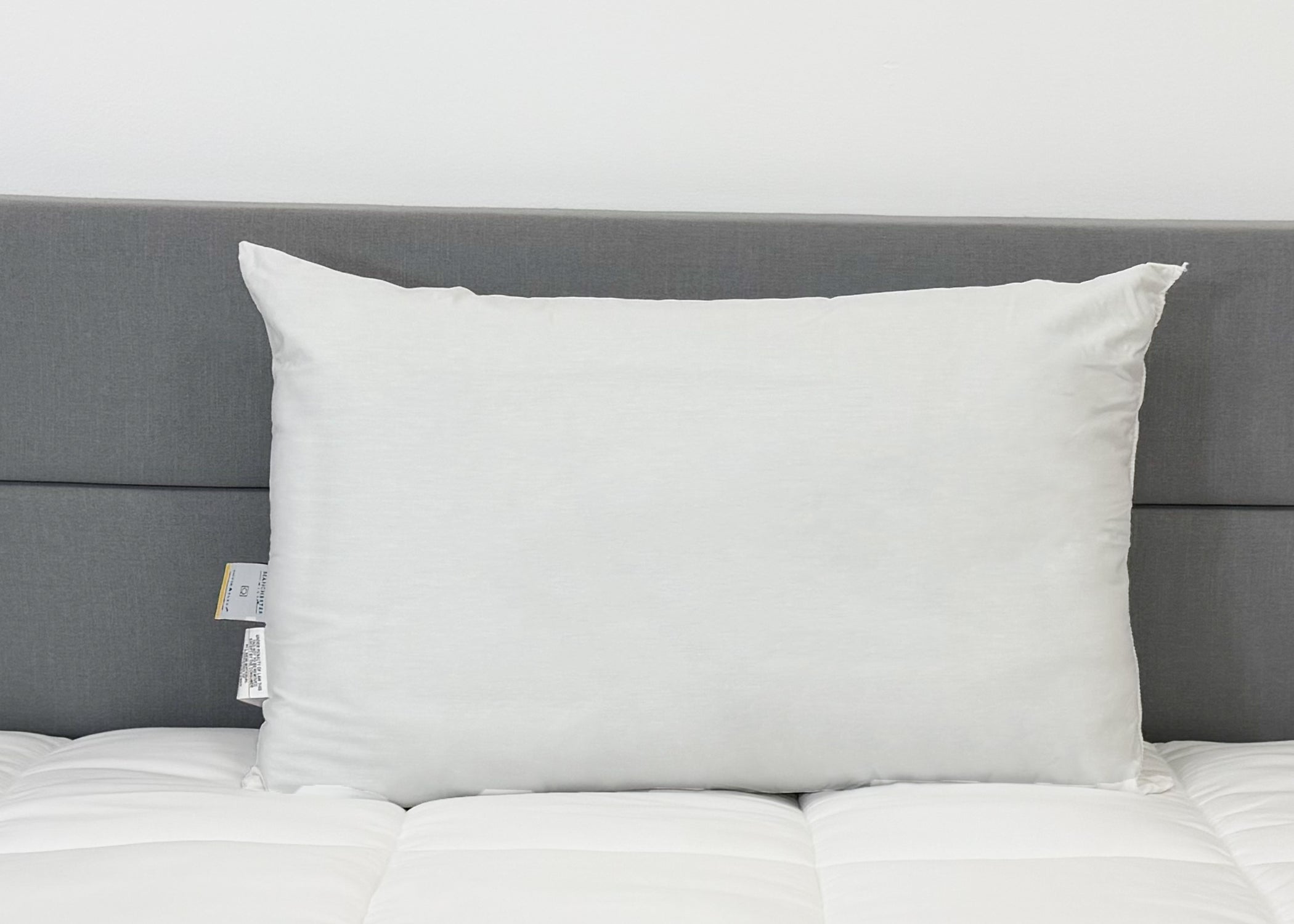 Envirosleep Gold Plus Kissen | Feste Polyesterfaserfüllung