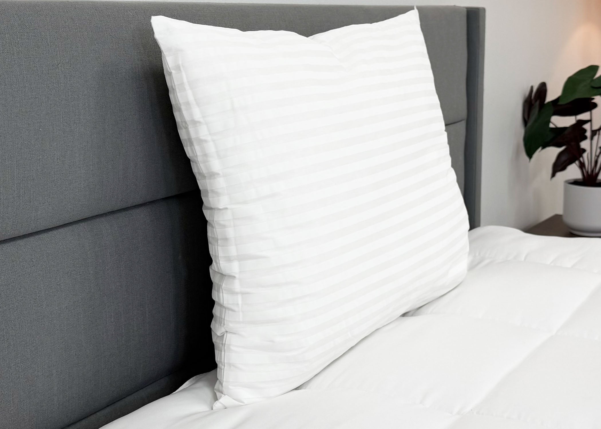 Pillow Factory Comforel Pillow, ausgestellt in Sheraton Hotels