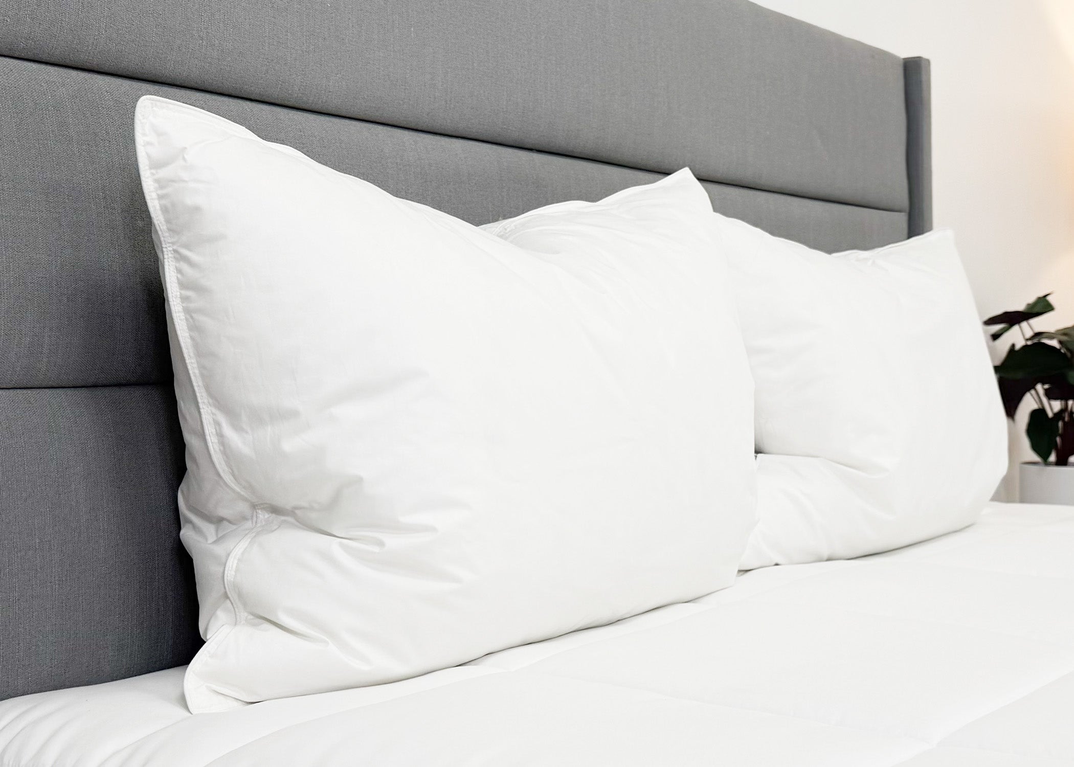 Pillowtex Conformity Pillow | Soft Support