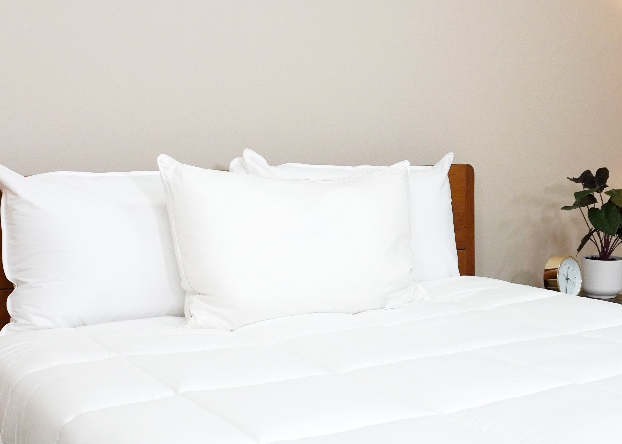 Pacific Coast Federn Tria Down & Federn Pillow - Ausgestellt in vielen Ritz-Carlton® Hotels