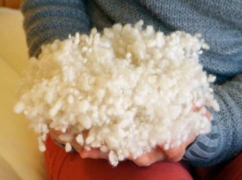 Holy Lamb Organics Wooly Down Bed Pillow | Premium Eco-Wolle