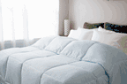Pillowtex Essential Bedding Package | All Season Bettdecke mit passenden Kissen