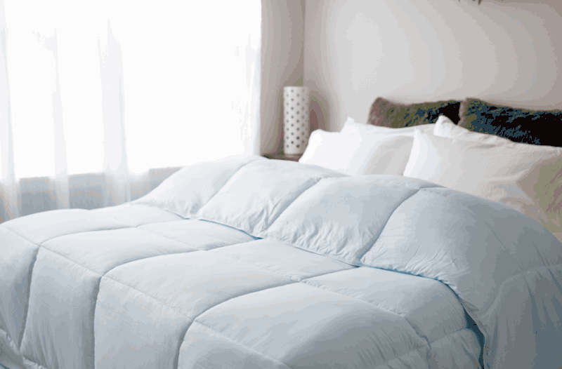 Pillowtex Dream in Color Bettdecke | Ganzjährig Gewicht mit weichem Polyester Bezug und Füllen