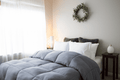 Pillowtex Dream in Color Bettdecke | Ganzjährig Gewicht mit weichem Polyester Bezug und Füllen