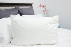 Pillowtex Down Alternative Pillow | Mittelklasse