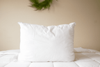Pillowtex Down Alternative Pillow | Soft