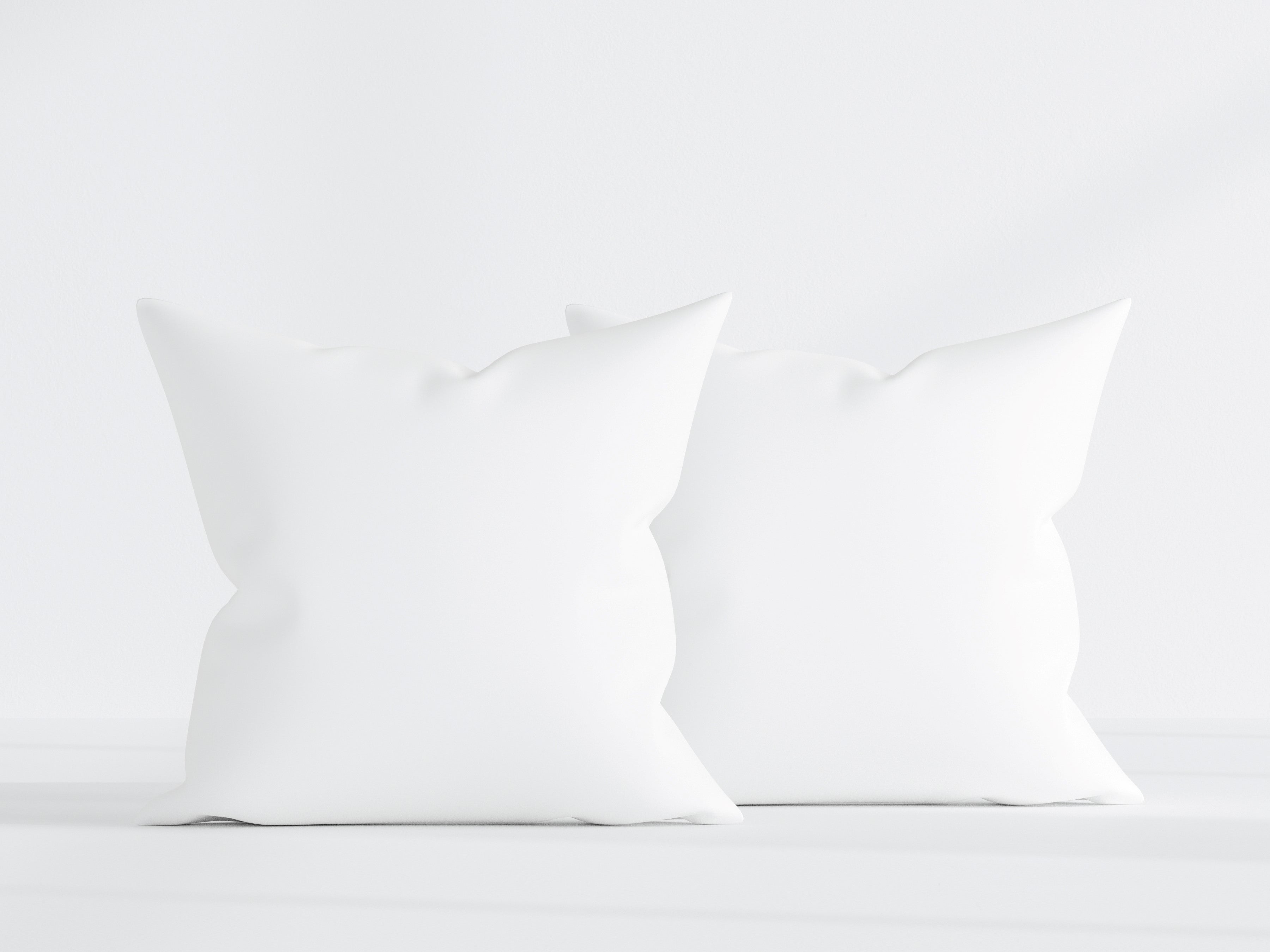 Pillowtex Pillow Insert | Polyester