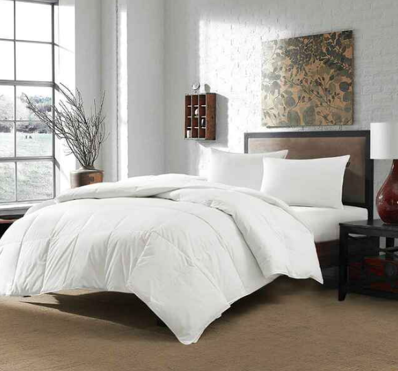 Gold Choice Polyester Kissen in einigen Embassy Suiten | Extra Loft